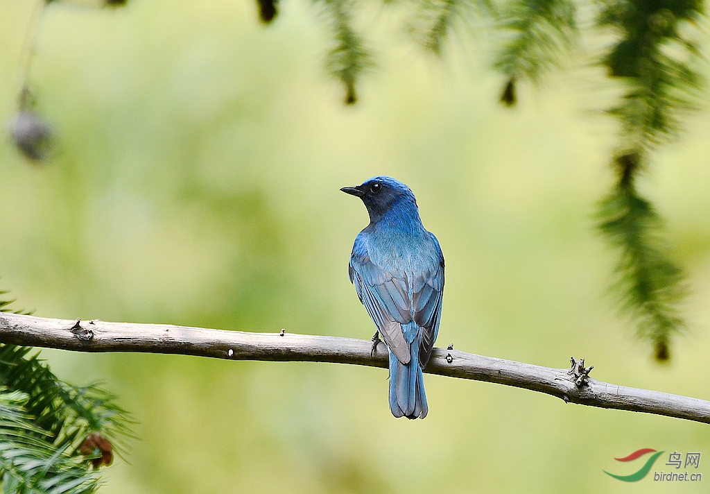 �׸�����