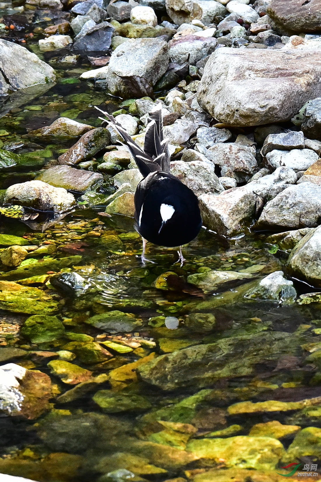 DSC_0735.JPG