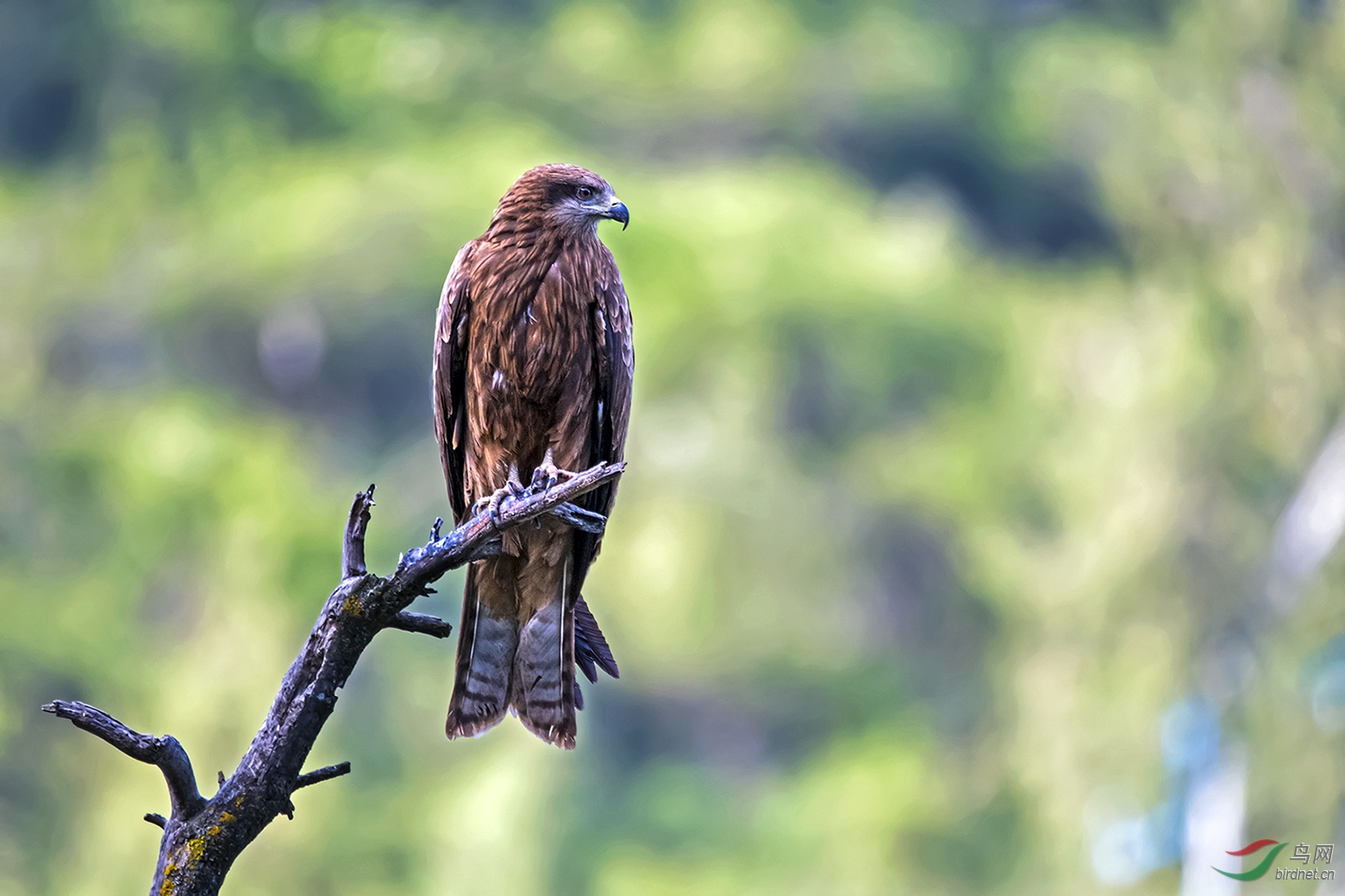 DSC_4542.jpg