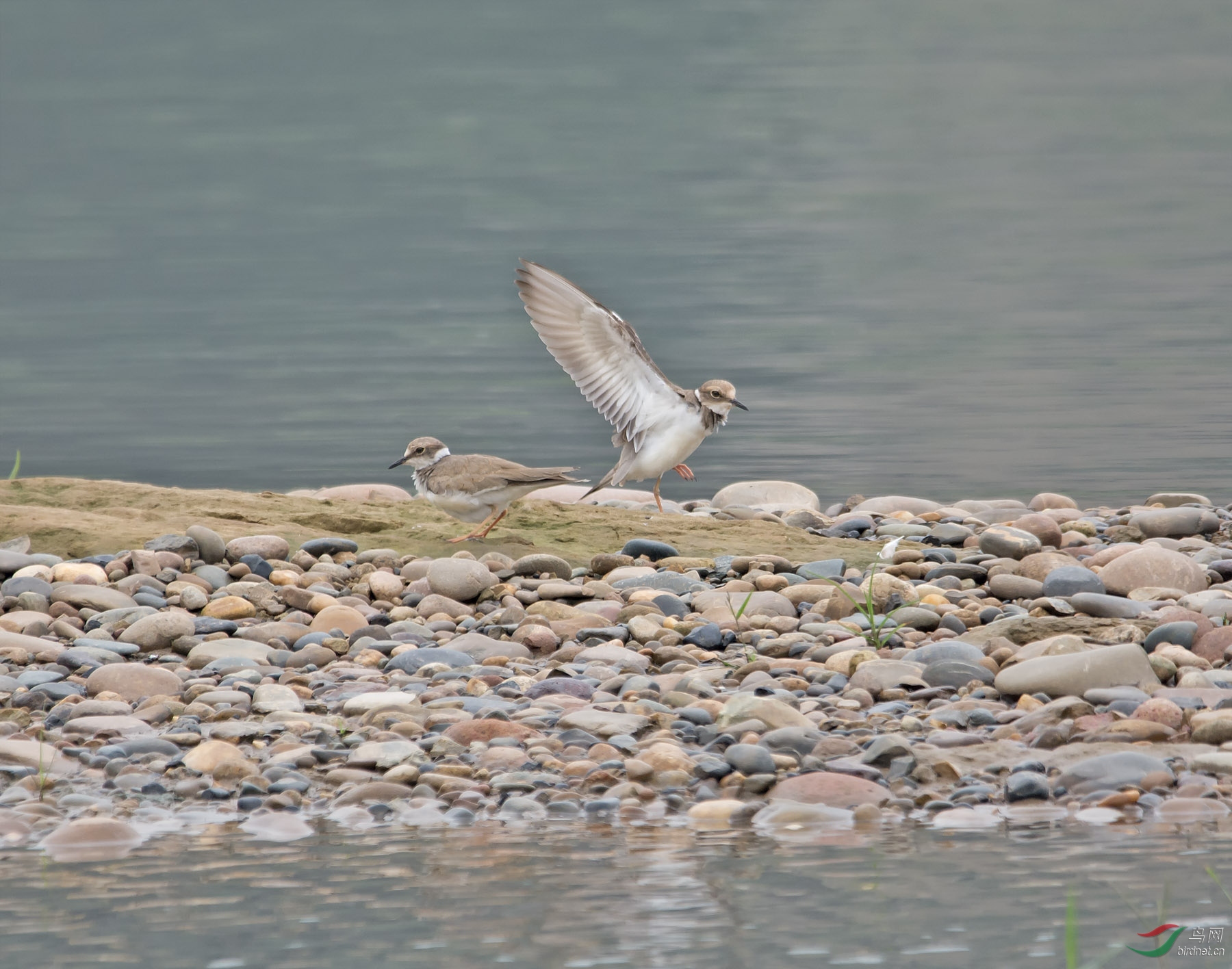 DSC_0712-1.jpg