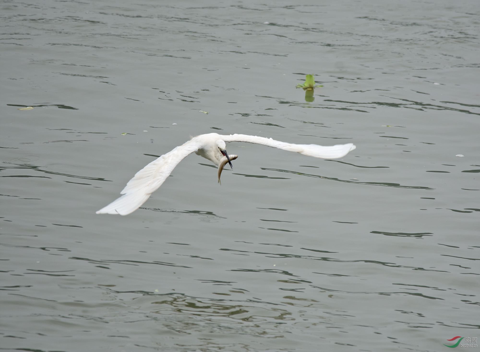 DSC_0193.jpg