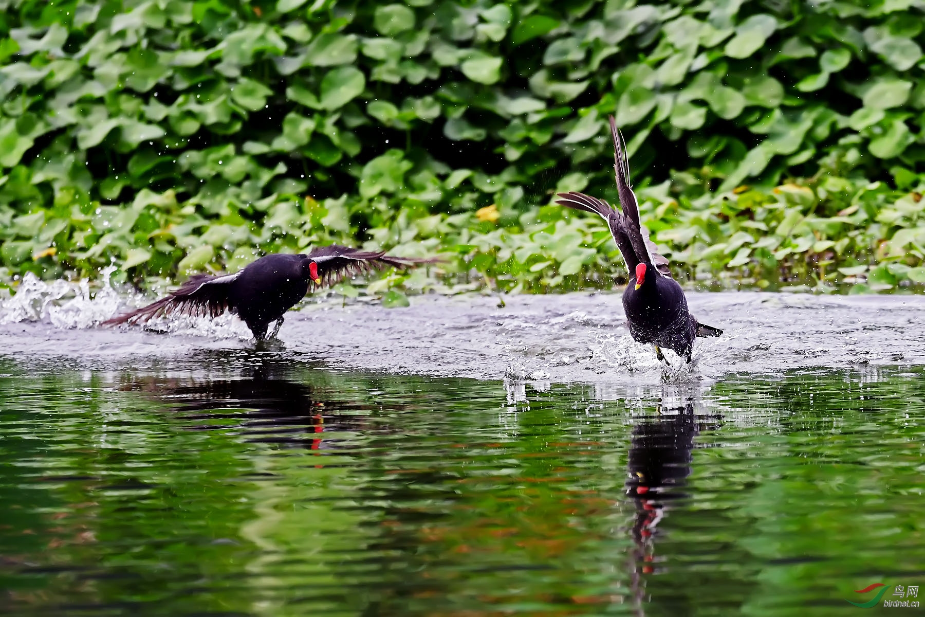 DSC_4720.jpg