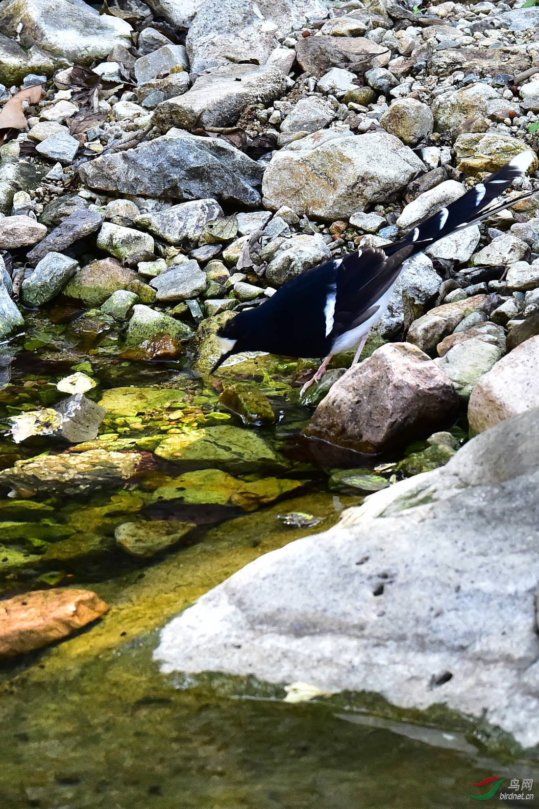DSC_0742.JPG