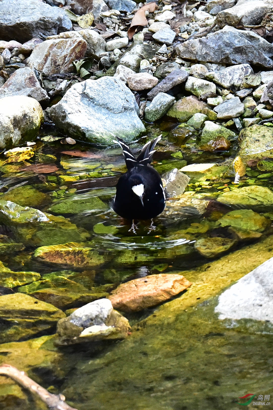 DSC_0743.JPG