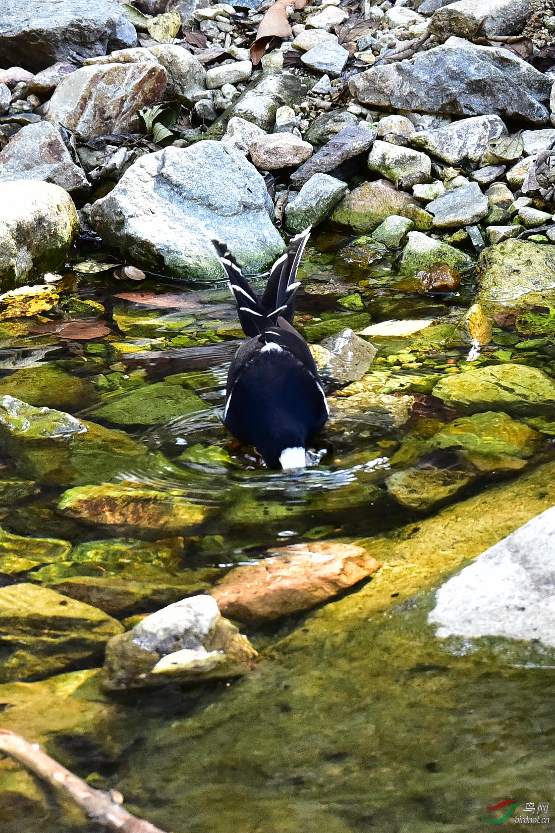 DSC_0744.JPG