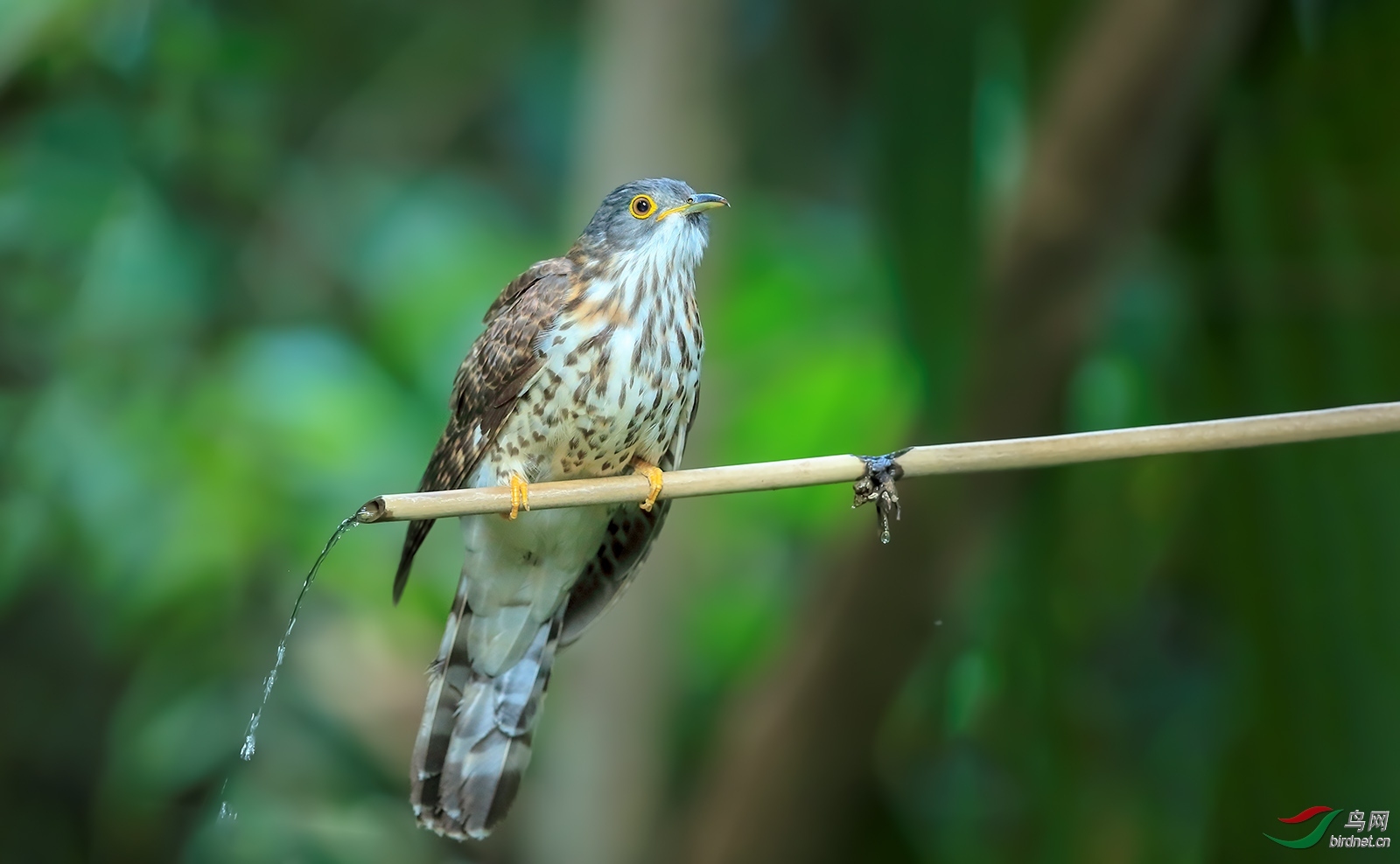 �̹���ʦ����������ʡ �º���徰���������� ӯ����.jpg