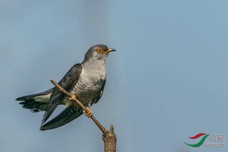 �������� ��ʦ������ɽ��ʡ������.jpg