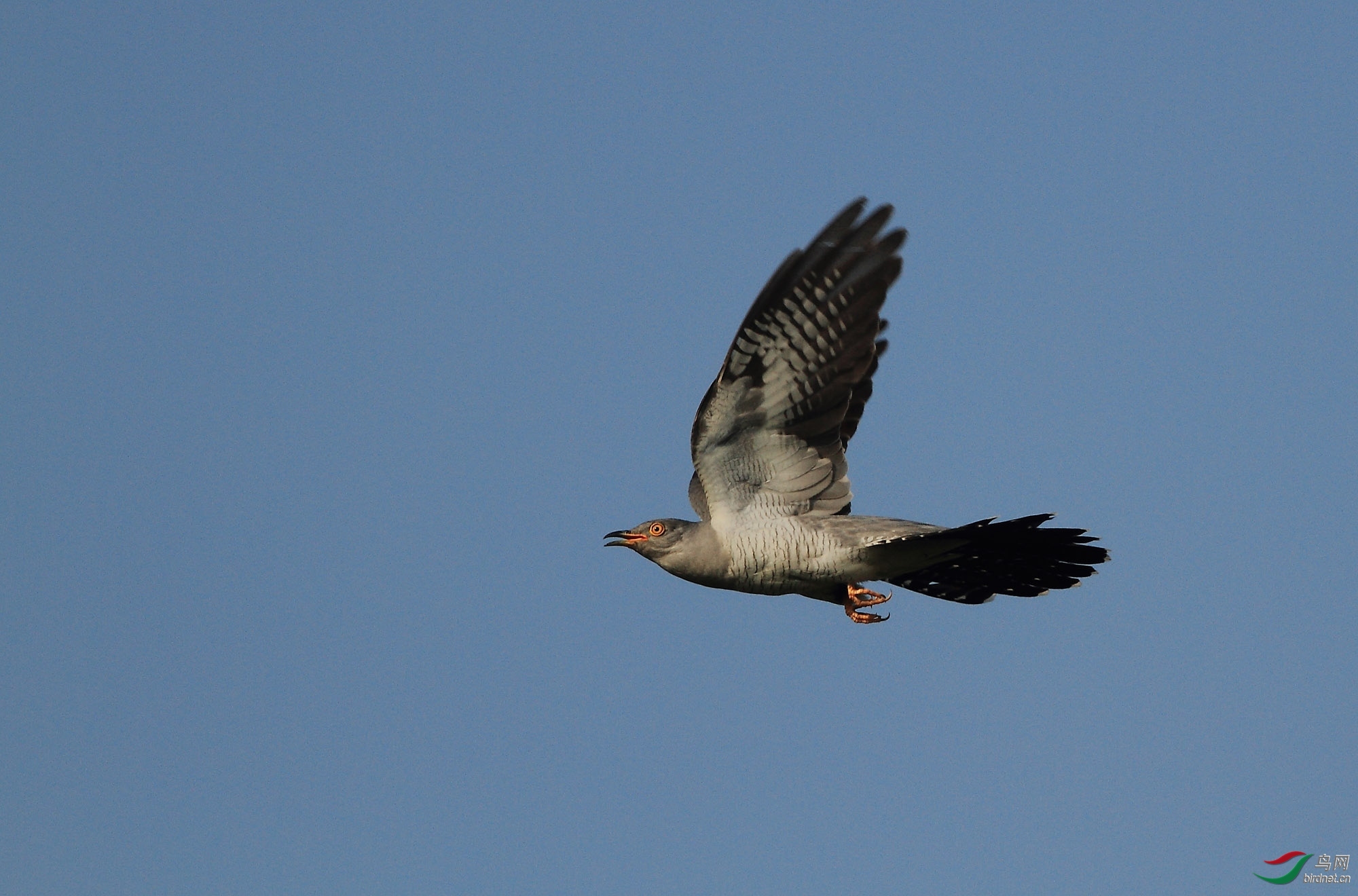 �ǲ� ��ʦ�����ںӱ�ʡʯ��ׯ��.jpg