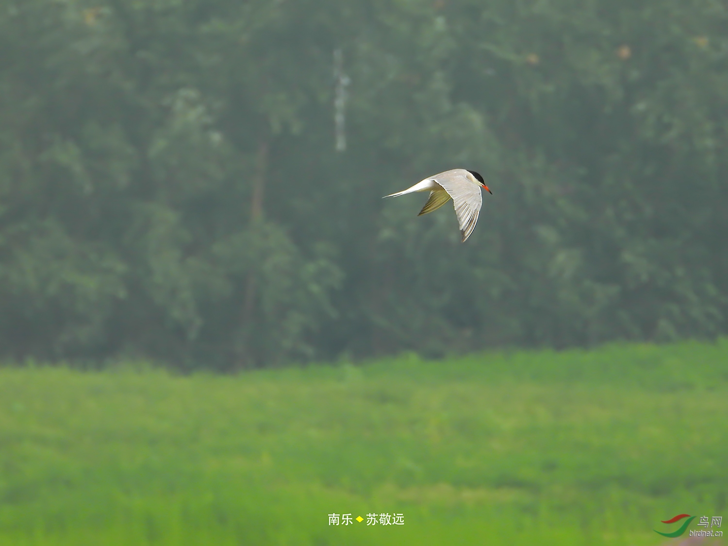 DSCN9178СС.jpg