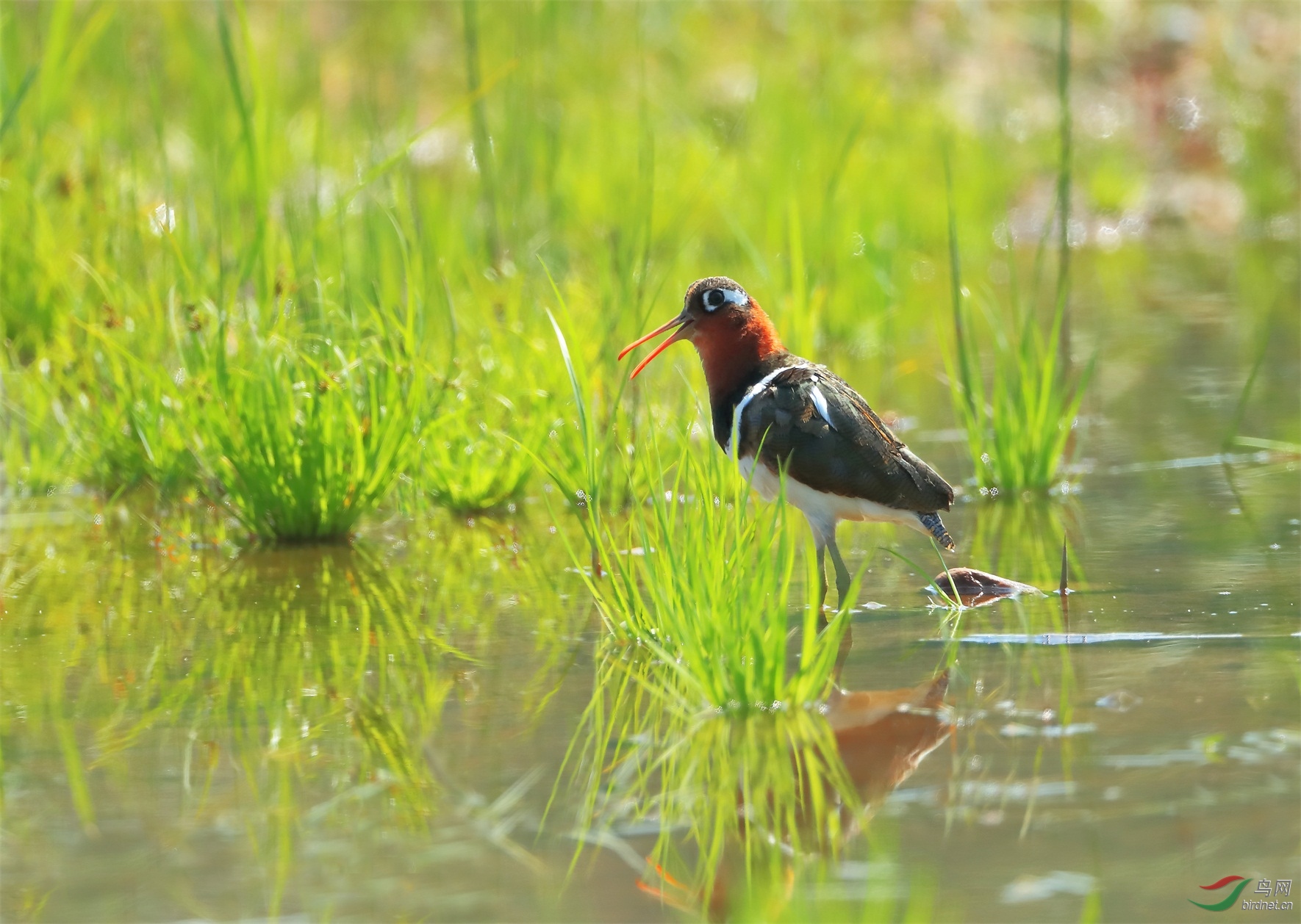 999 - ����.JPG