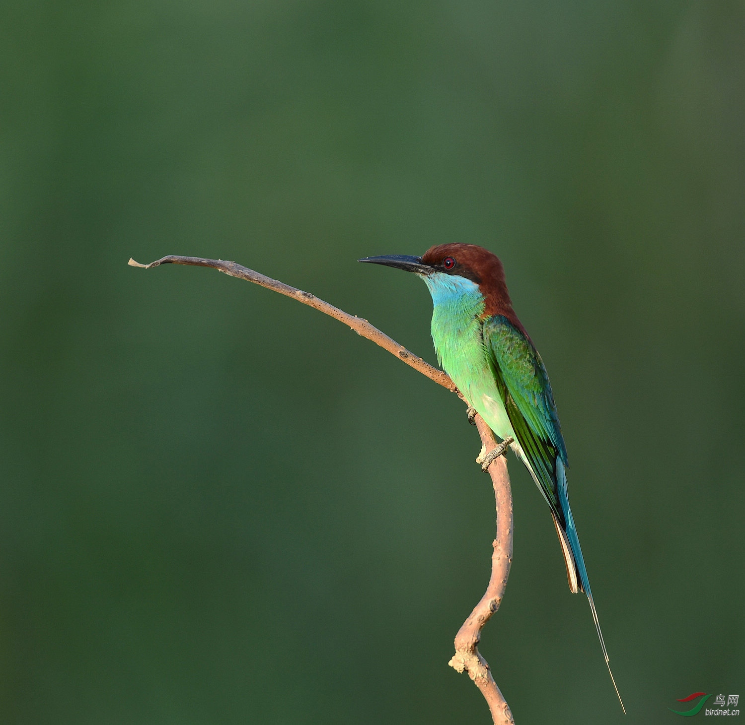 D8I_9947.jpg