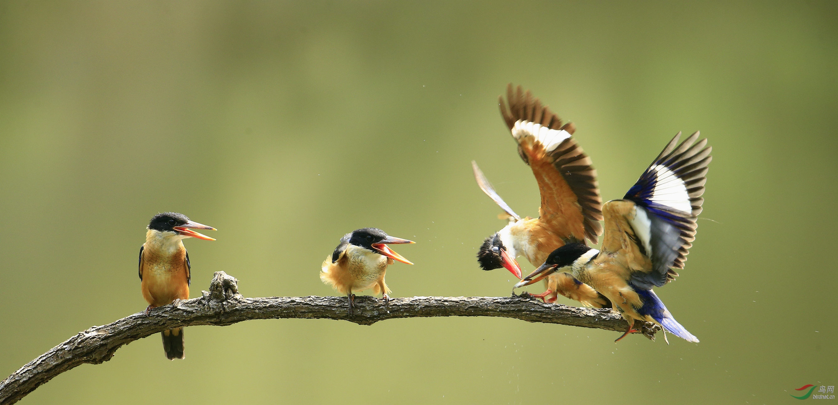 _I8T8139 (2)_����.jpg