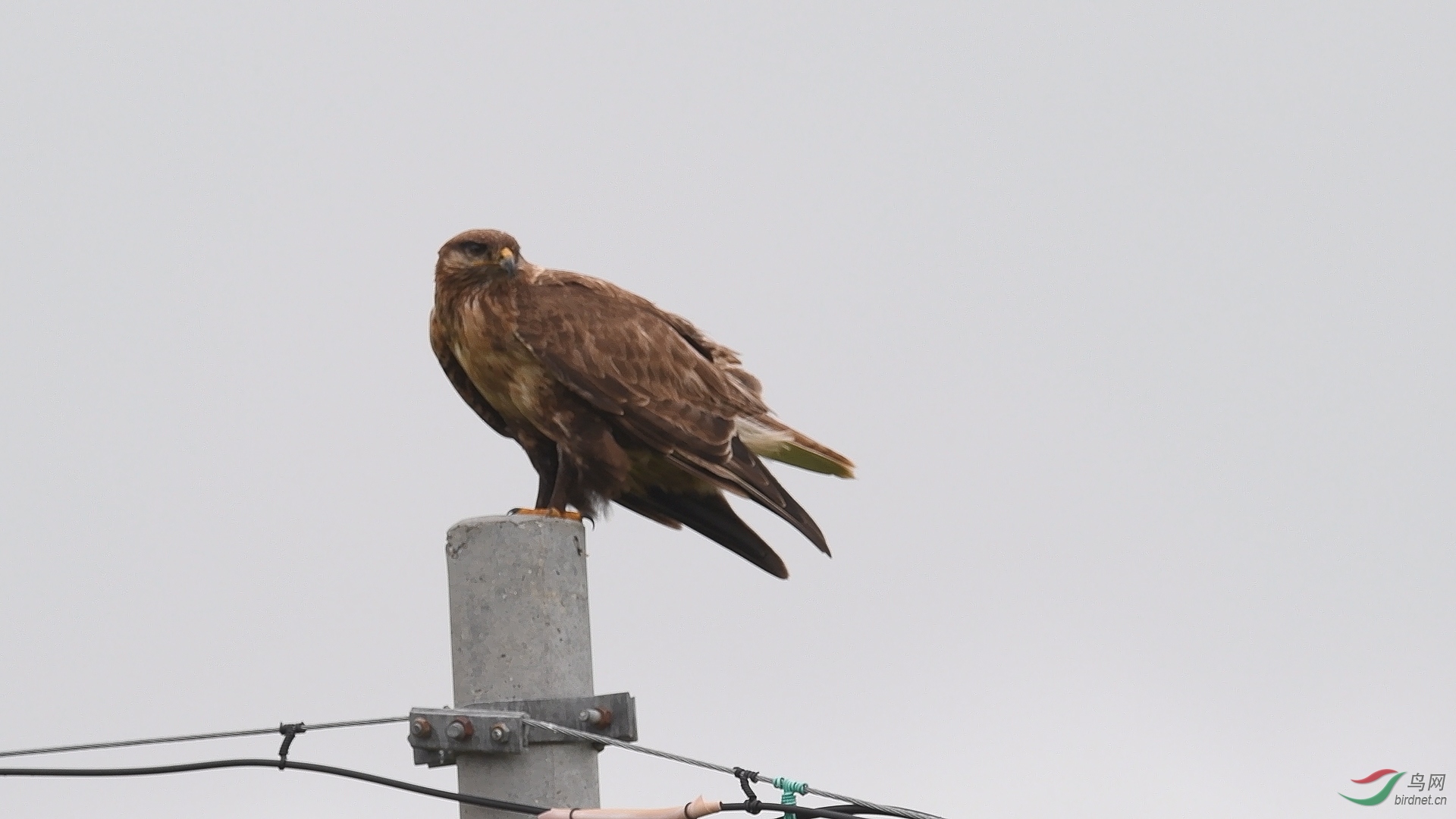 ���� 05.00_00_06_20.Still001.jpg