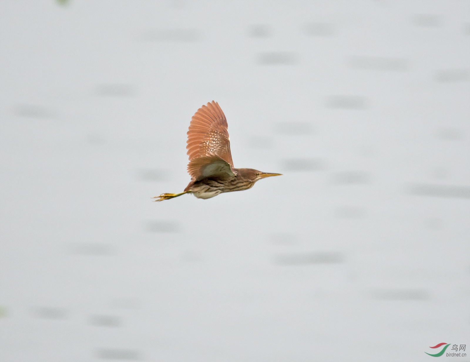 DSC_0911.jpg