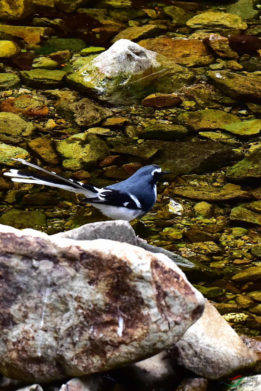 DSC_0755.JPG