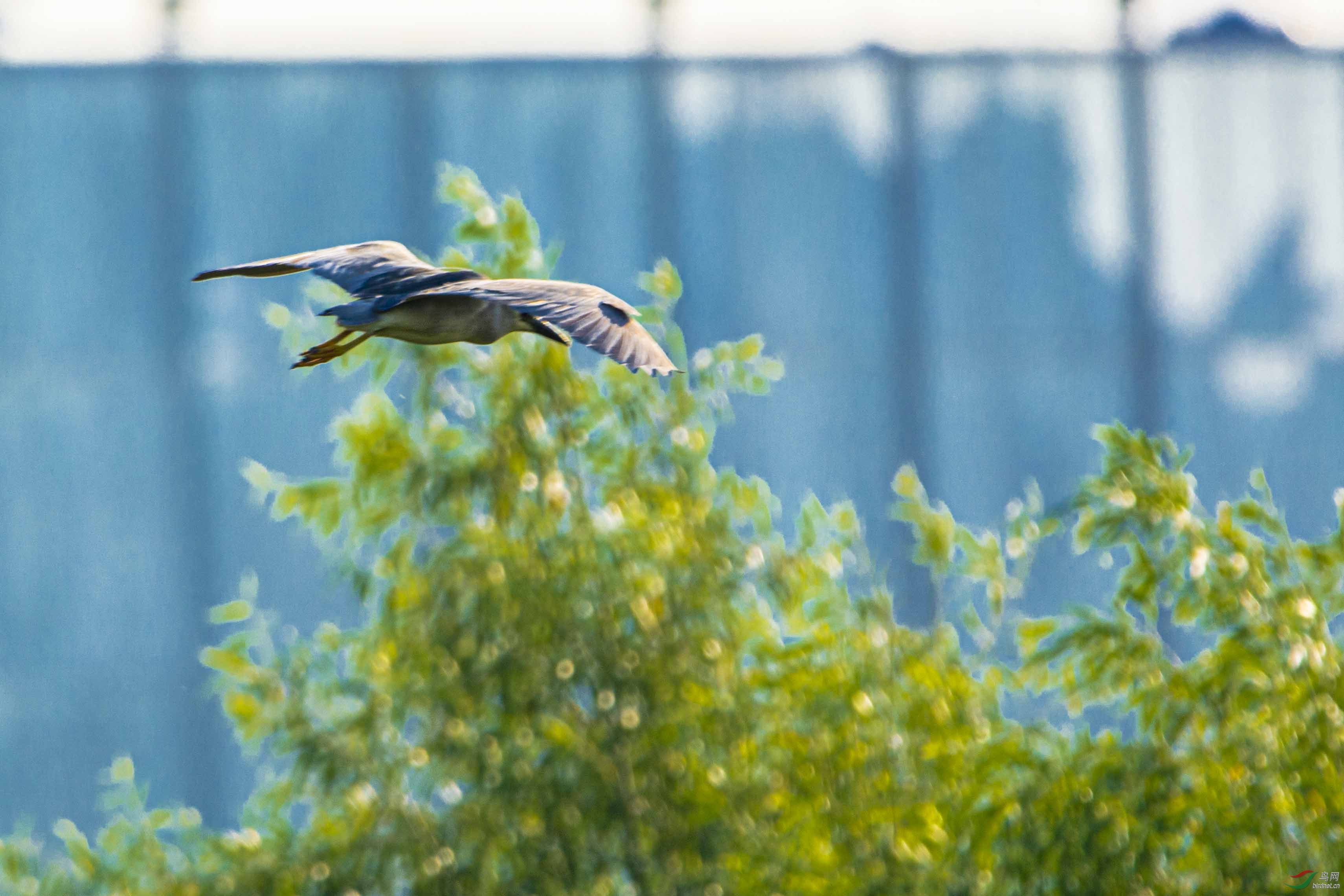 ���ɷ���3