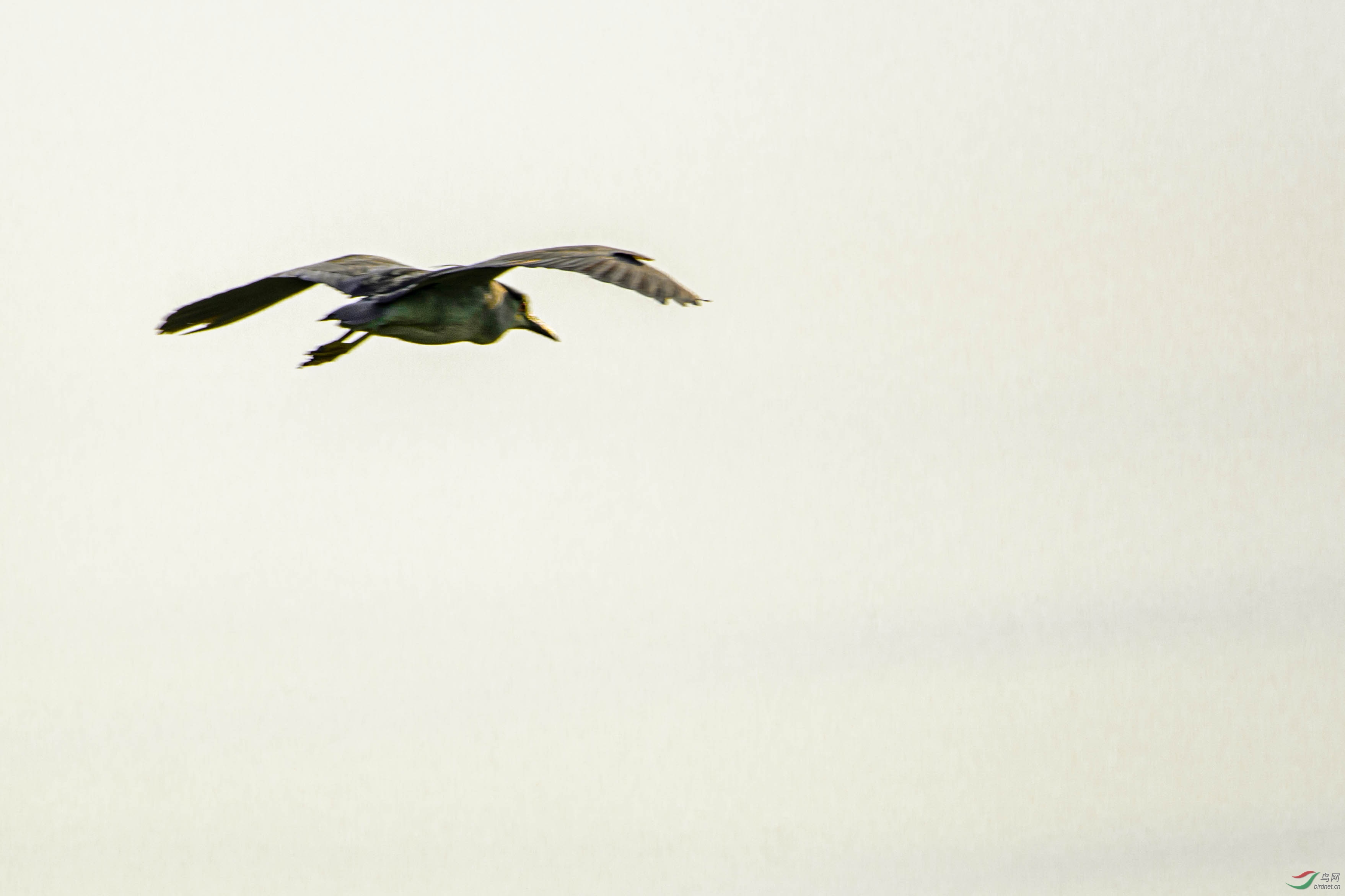 ���ɷ���1