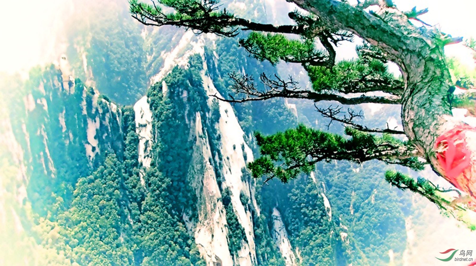 DSC001611_dh.jpg