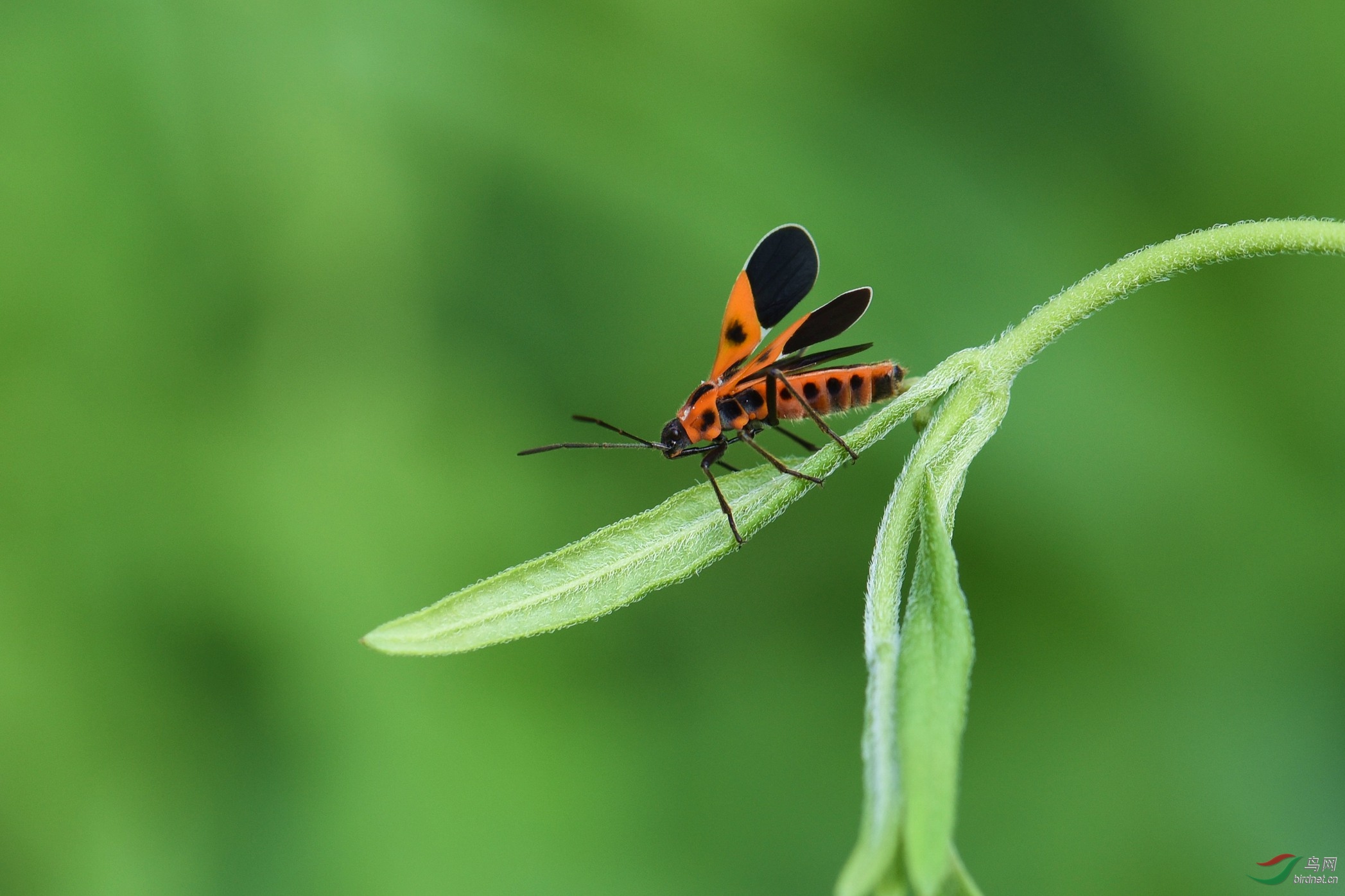 DSC_6315.JPG