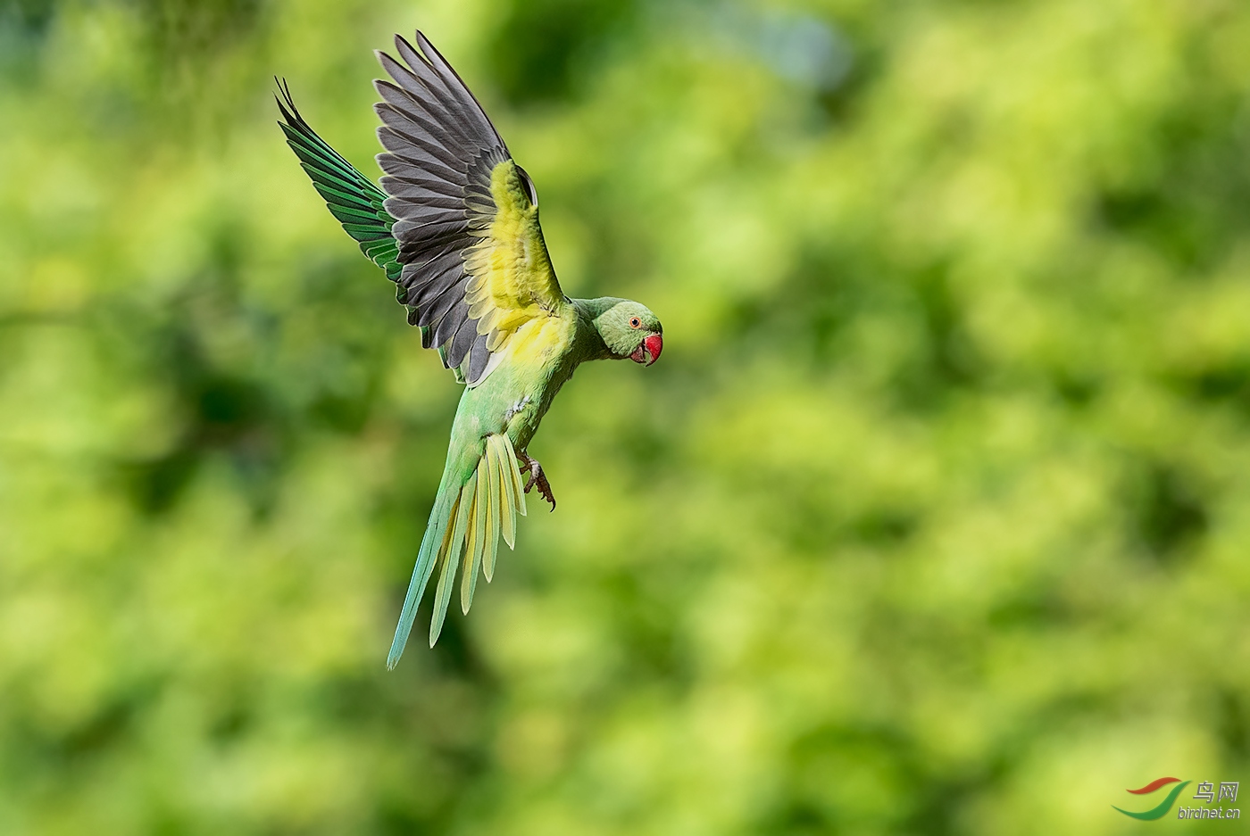 DSC_6716.jpg