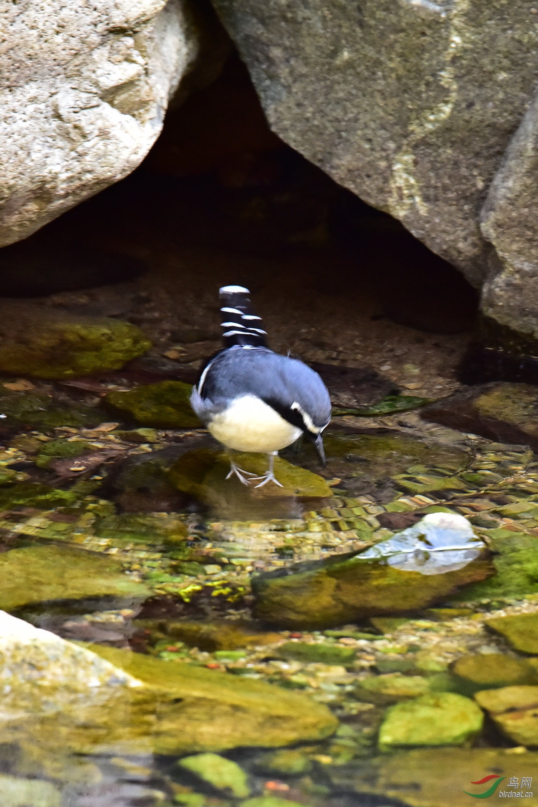 DSC_0761.JPG