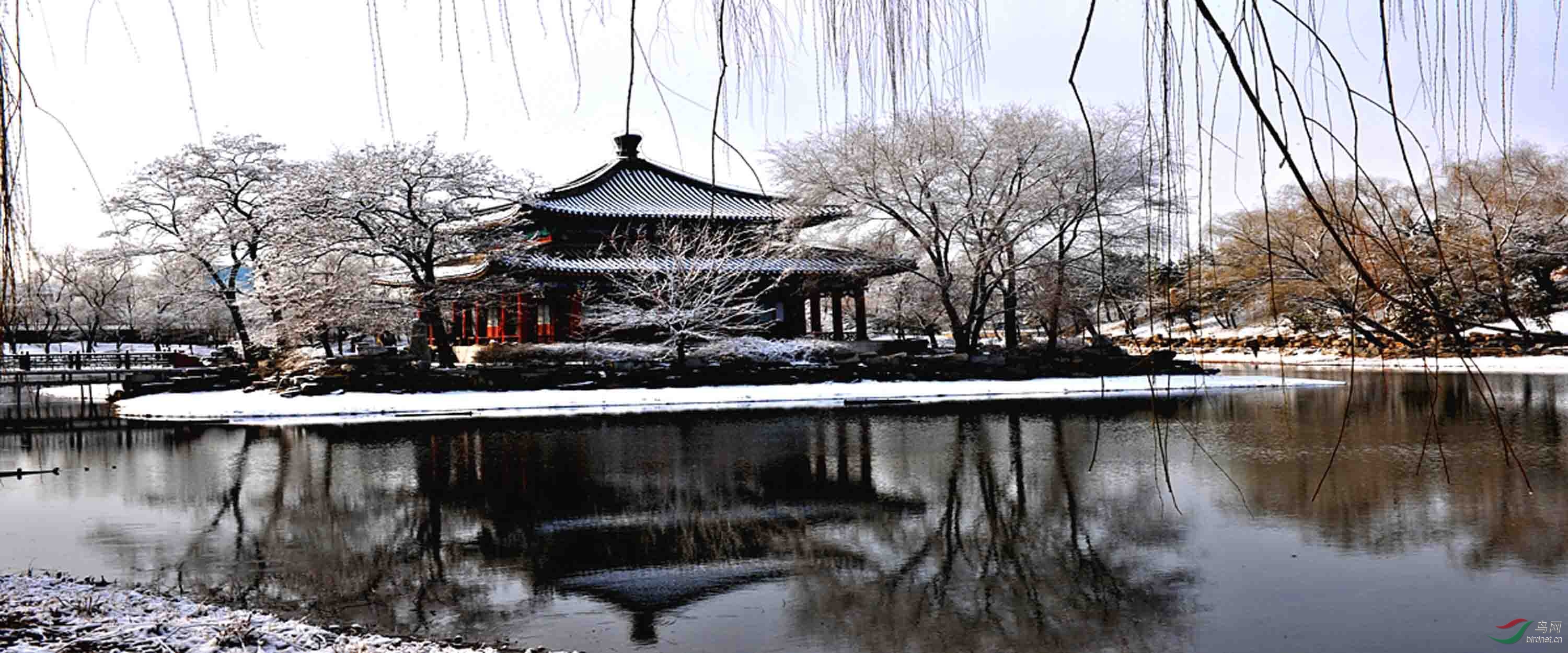 圆明园人造雪景图片