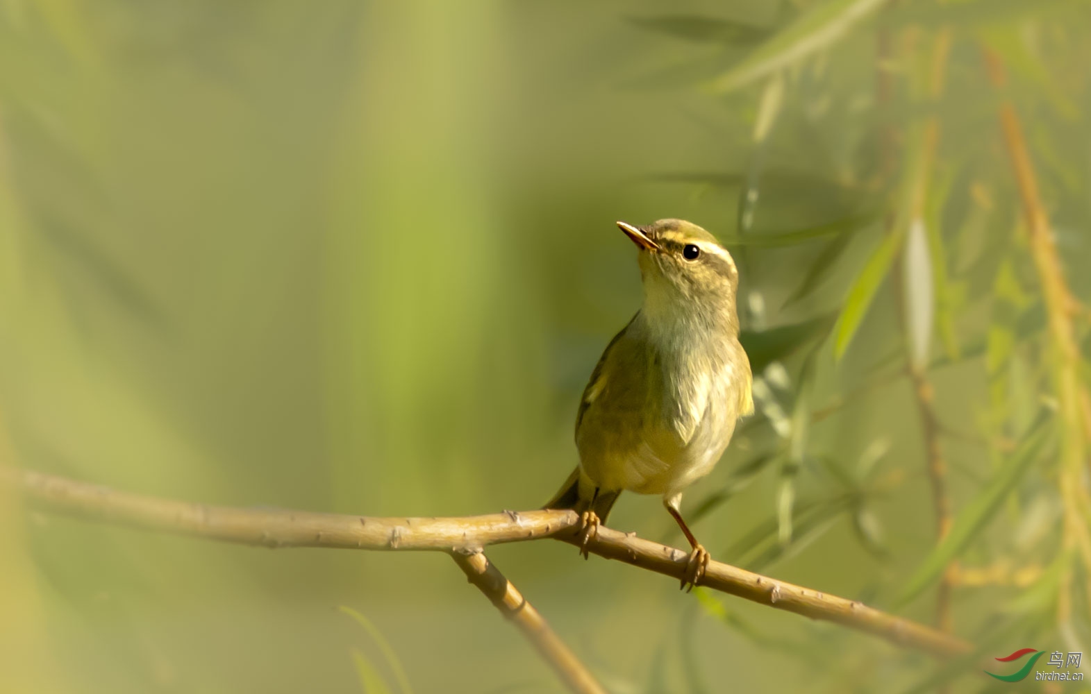 DSC_9651.JPG