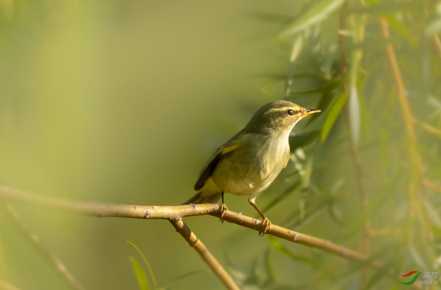 DSC_9653.JPG