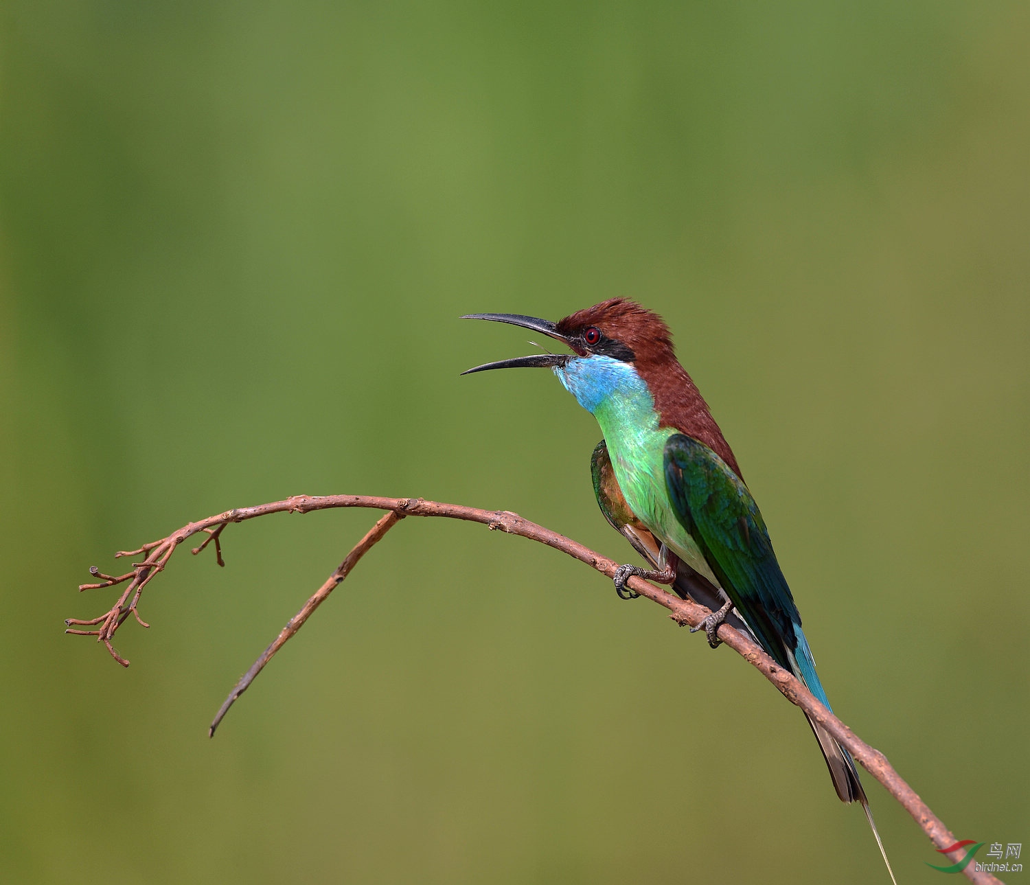 D8I_0061.jpg