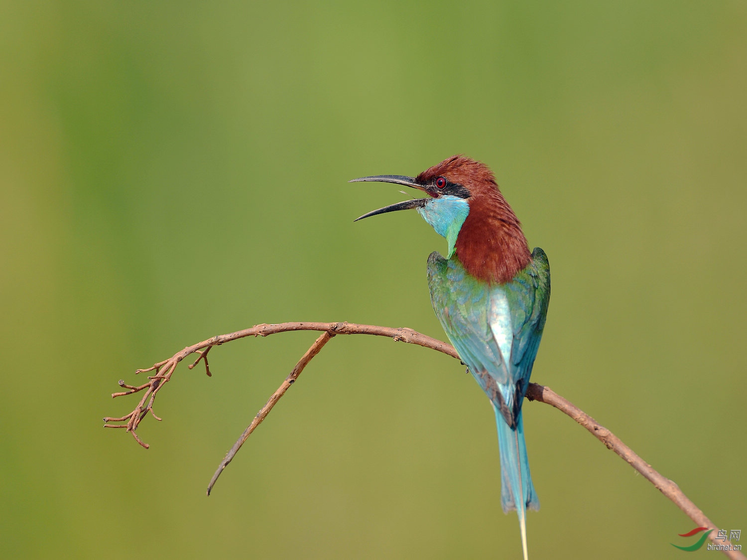 D8I_0070.jpg