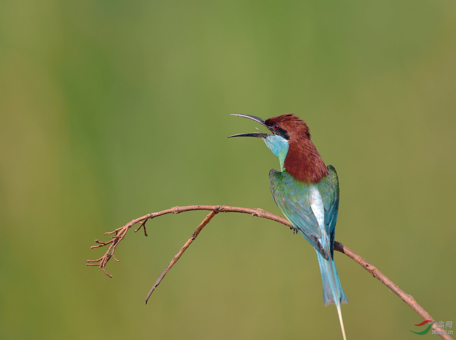 D8I_0074.jpg