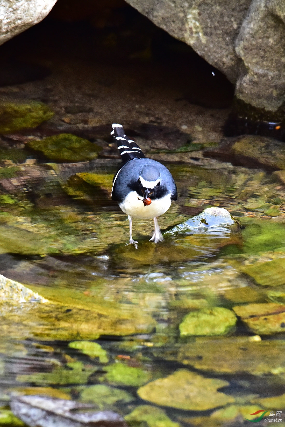 DSC_0767.JPG