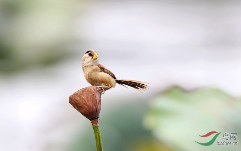 ���� ��ѻȸ.jpg