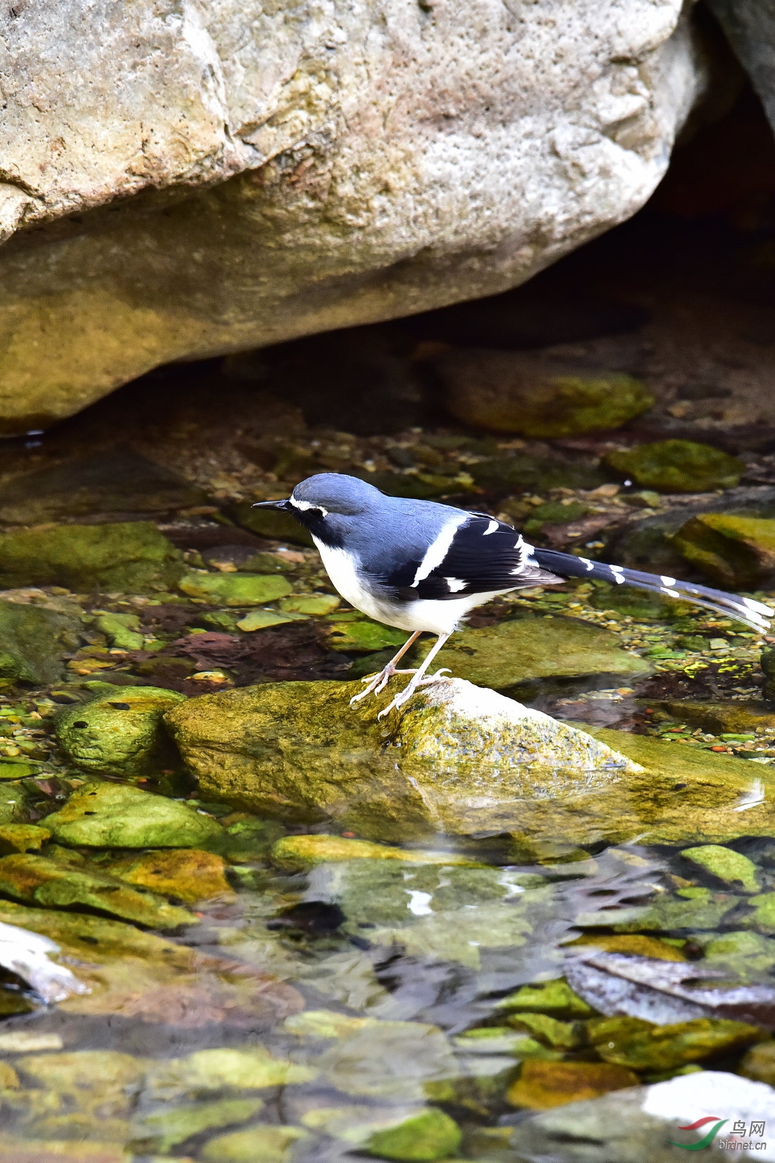 DSC_0769.JPG