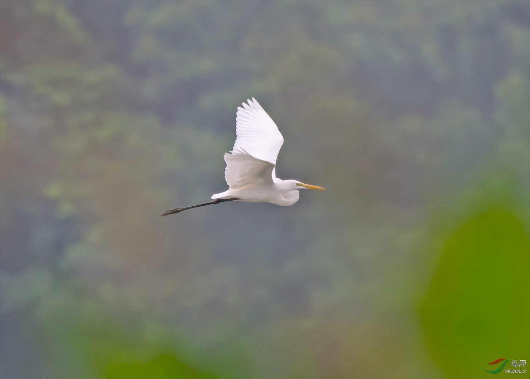 DSC_0128.jpg