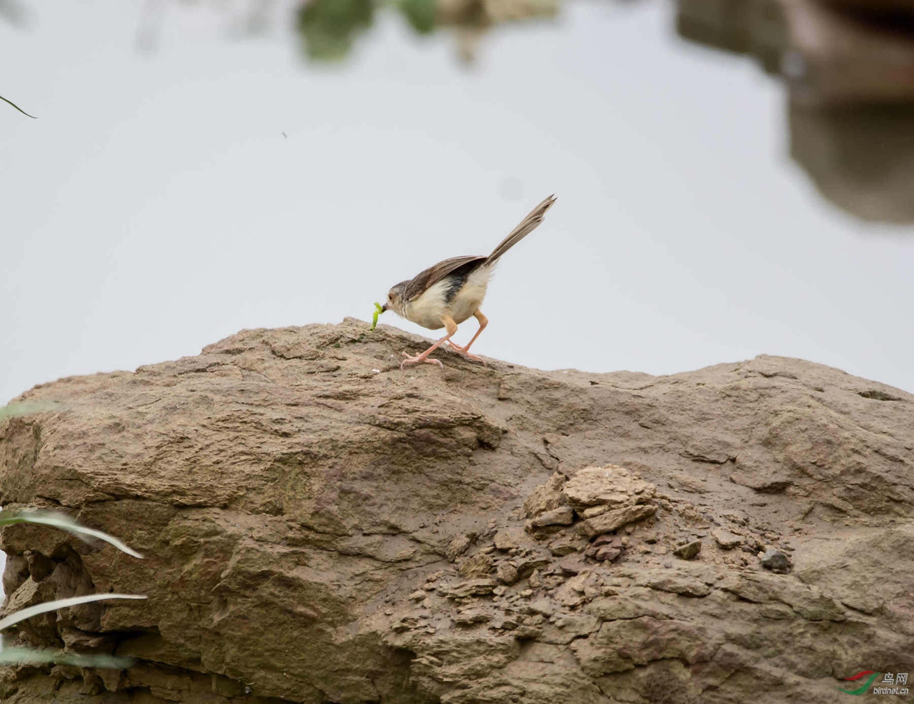DSC_0765.jpg