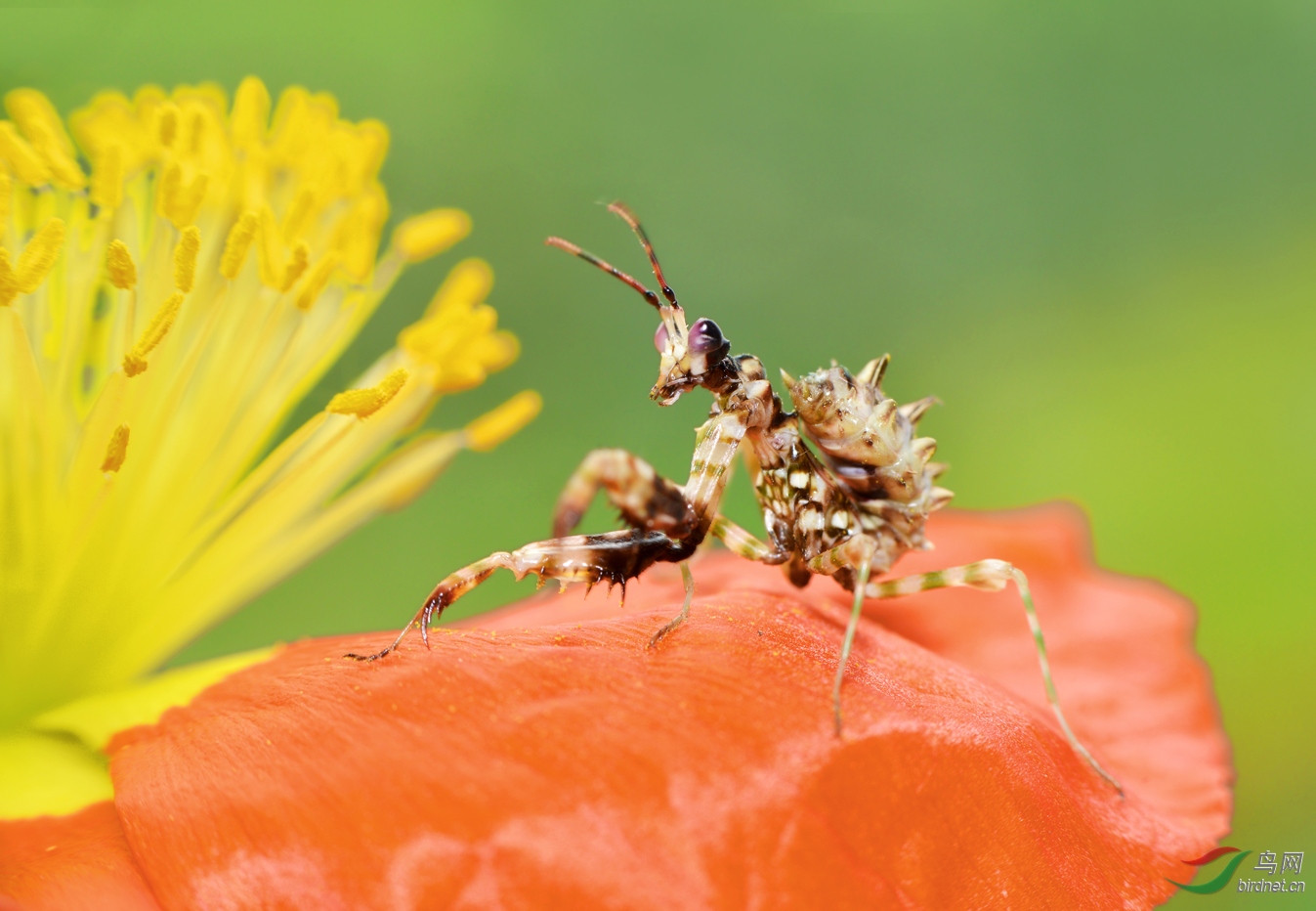 DSC_9094 ��������.jpg