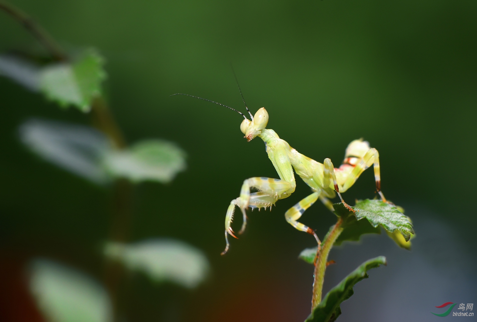 DSC_2076 �������� ��������.jpg