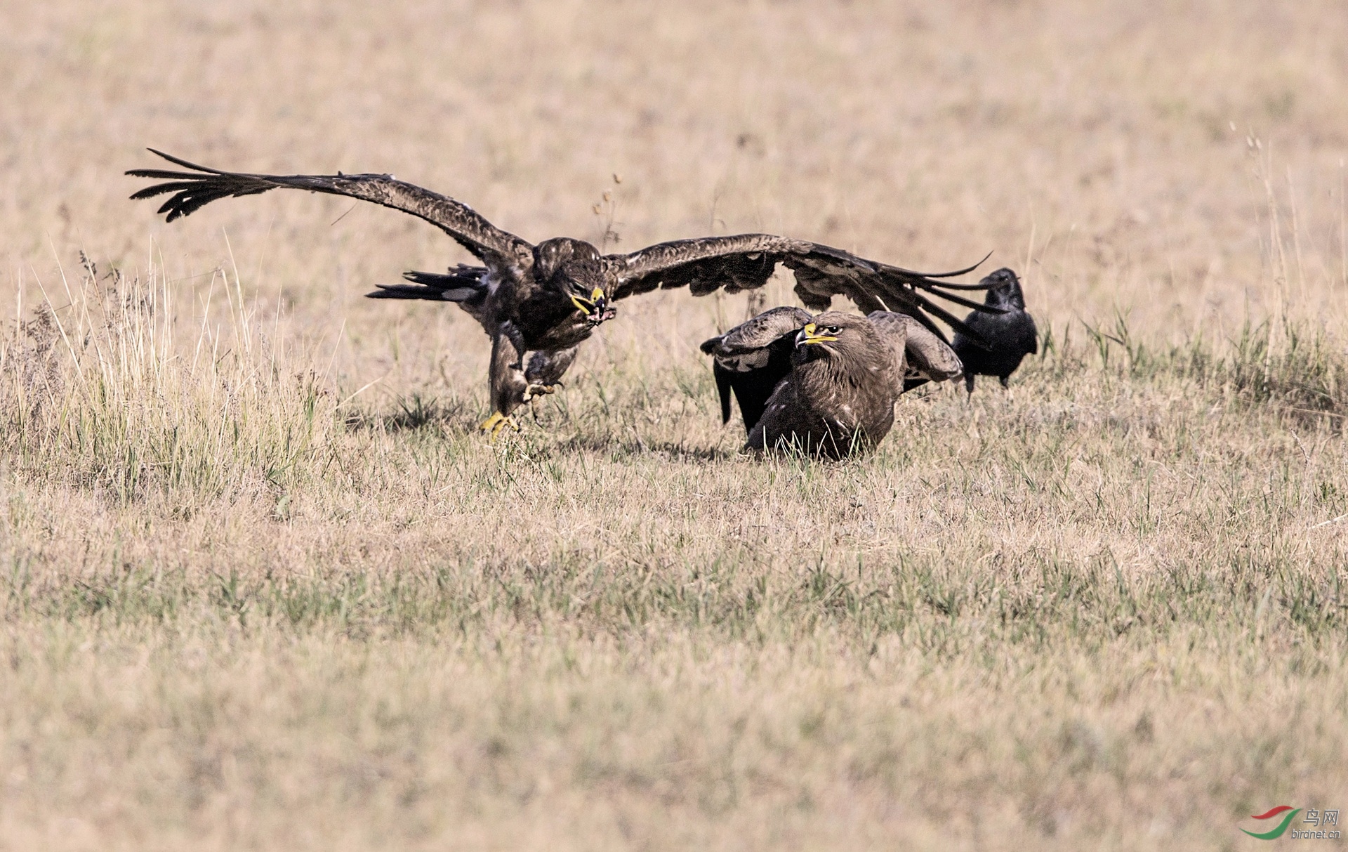 BW4Q0717 - ����.jpg