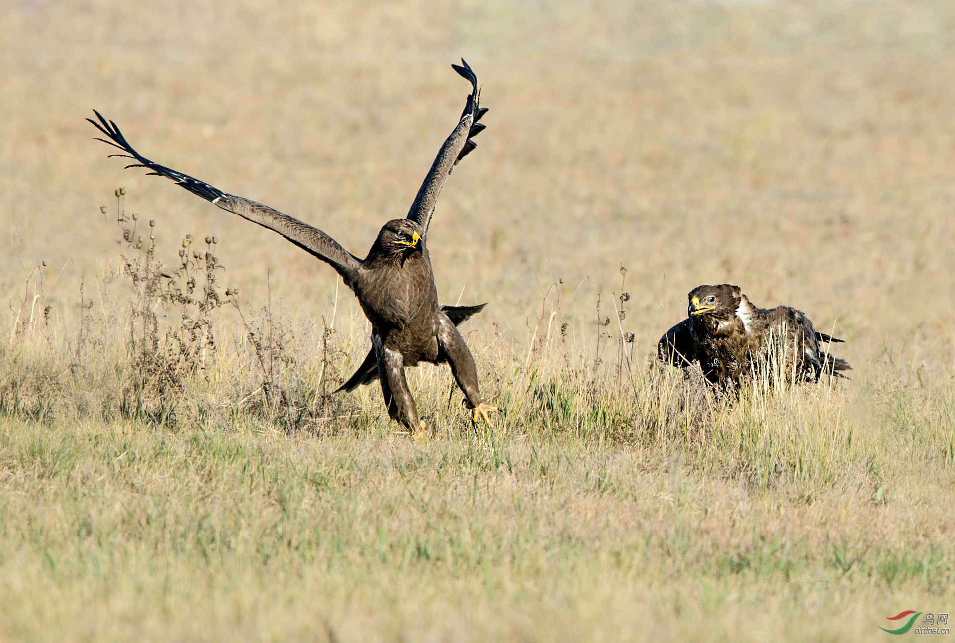 BW4Q0754 - ����.jpg