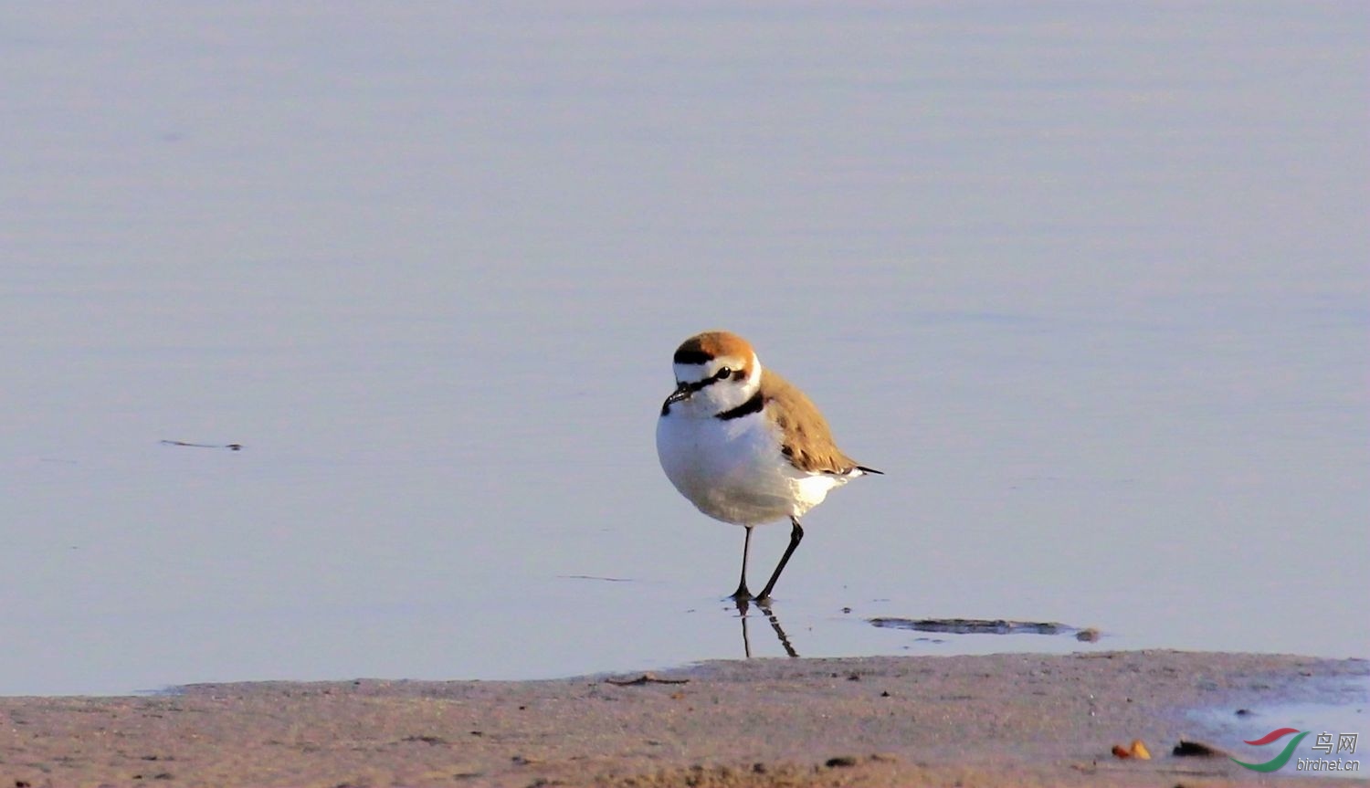 _MGL6618_1500.jpg