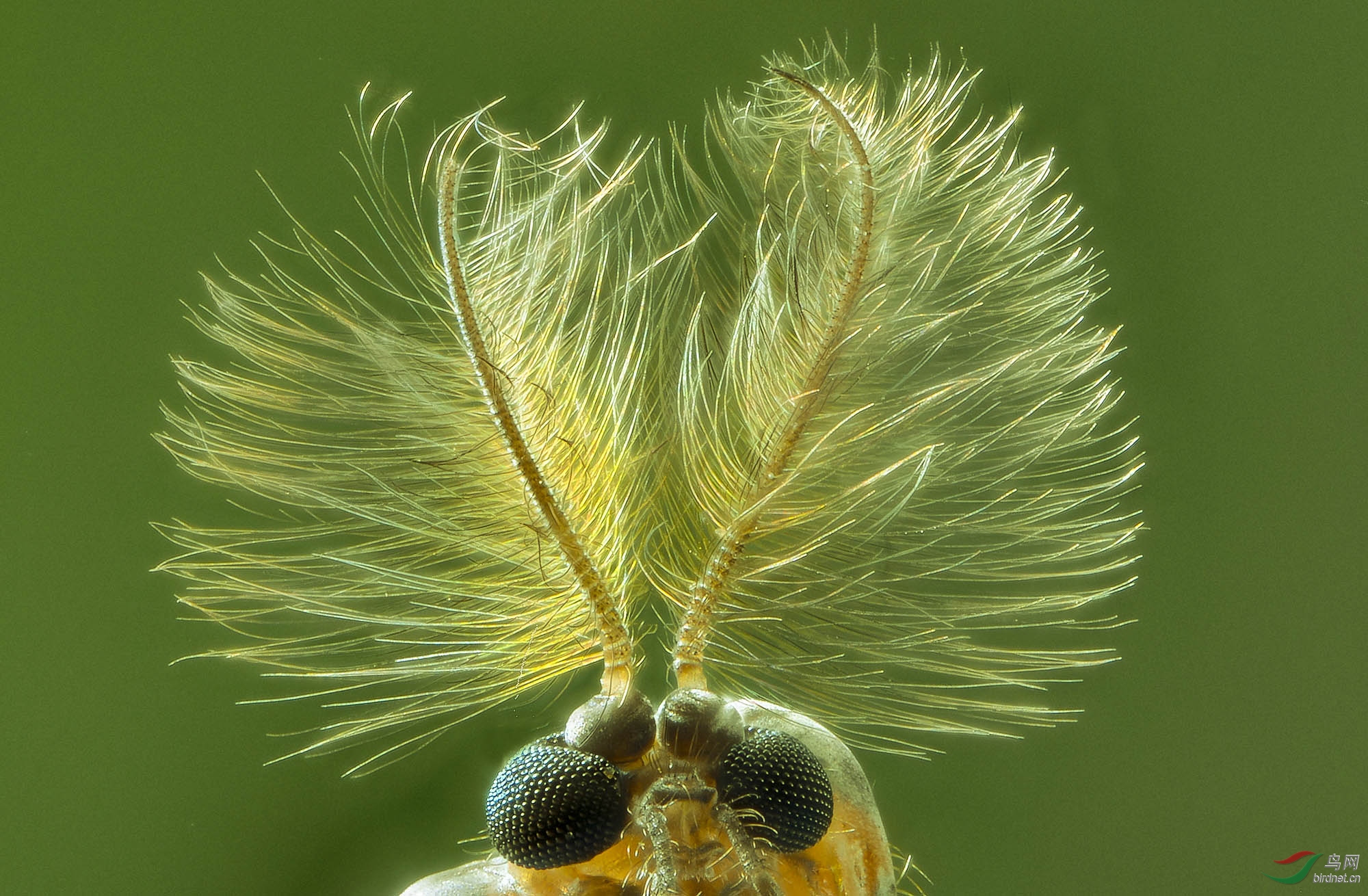 2020-07-17-14.27.59 ZS PMax.jpg