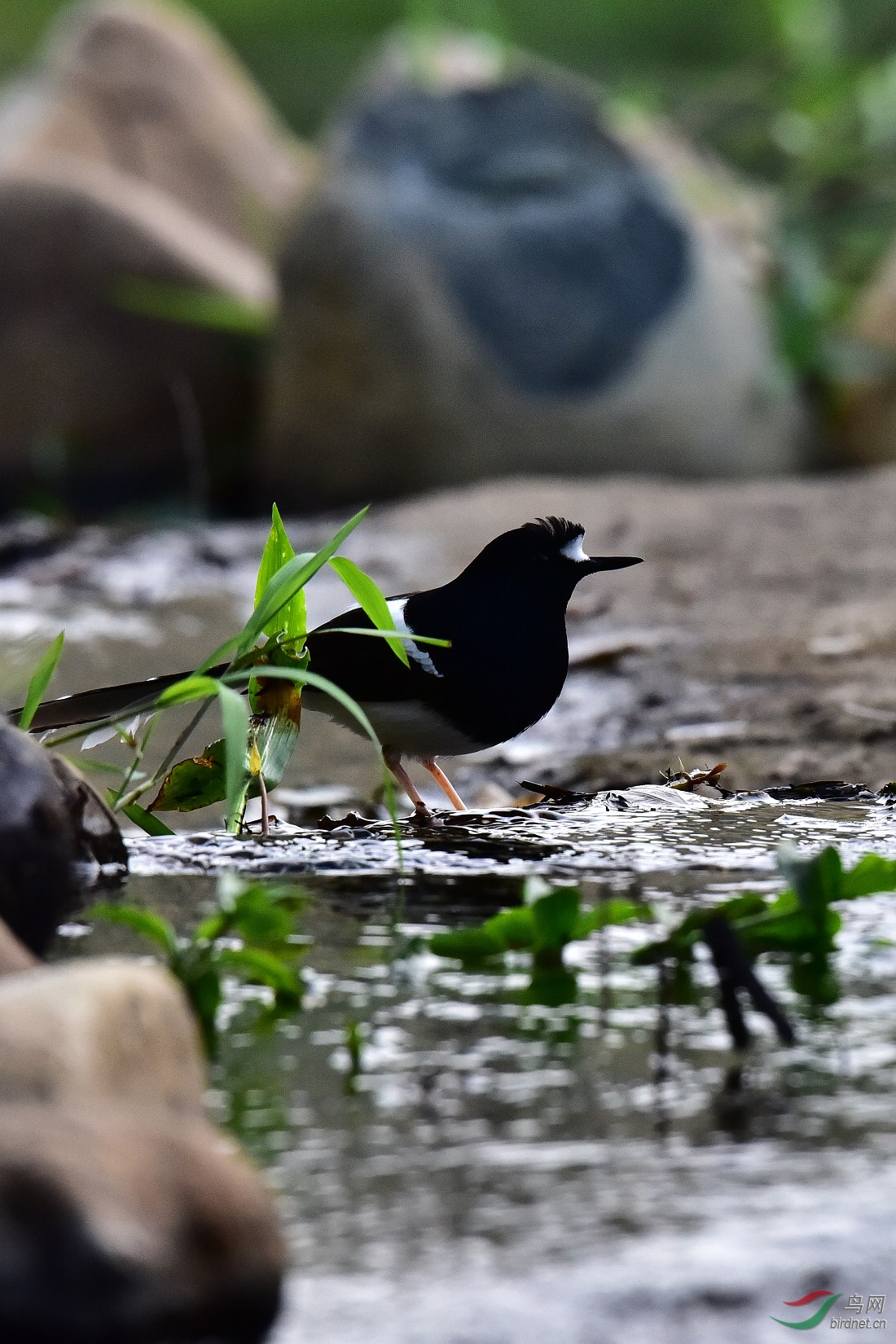 DSC_0782.JPG