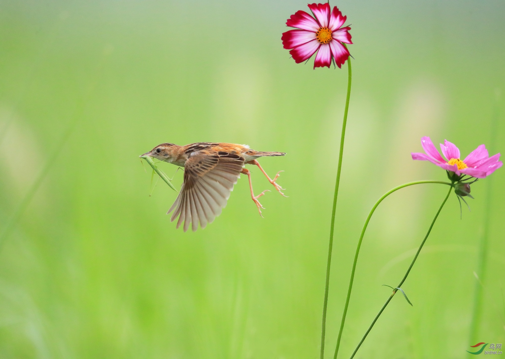 2 - ����.JPG