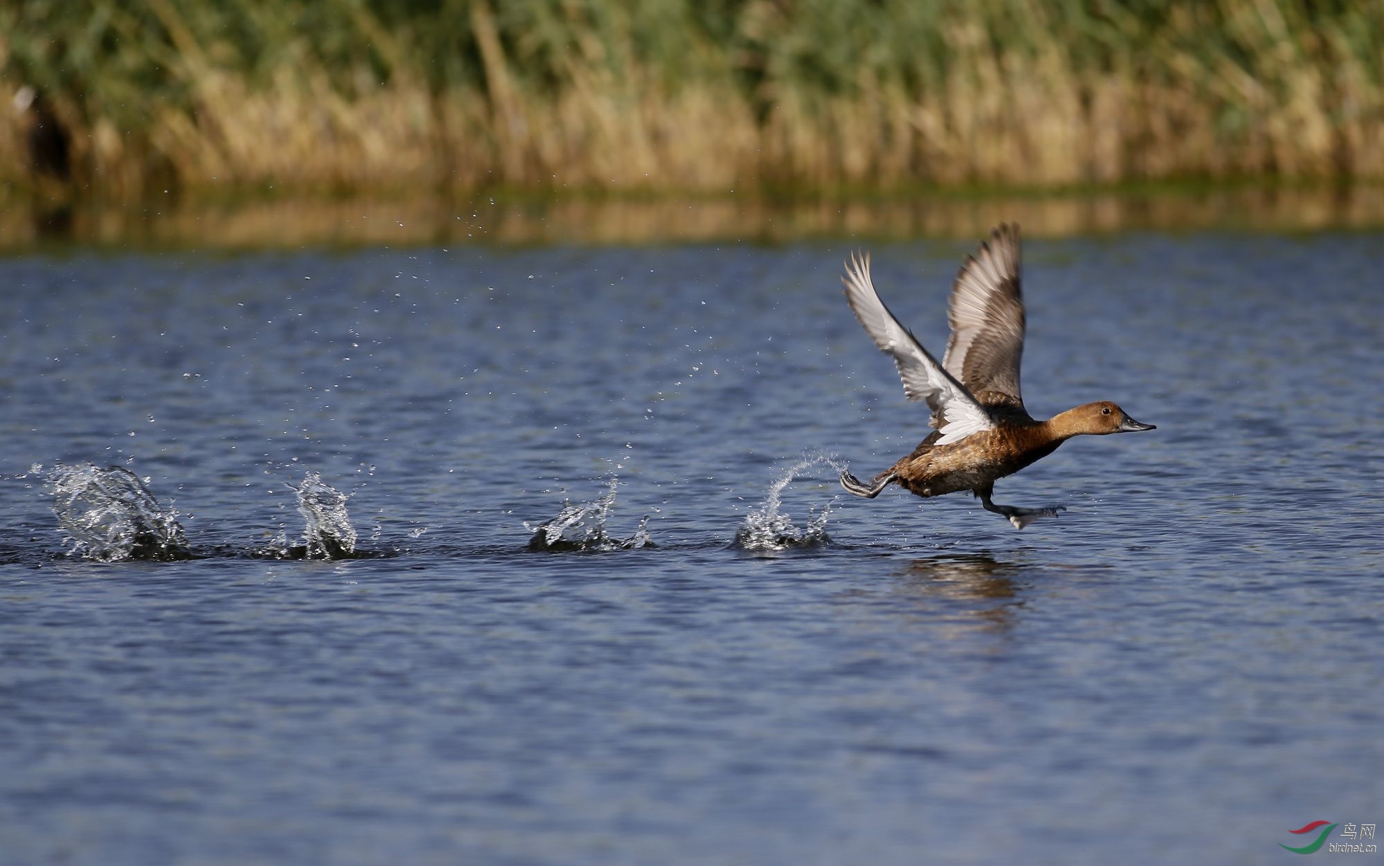 _ITO8007_���� - ����.jpg