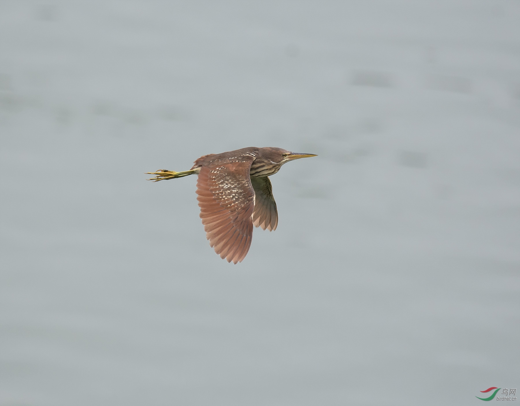 DSC_1014.jpg