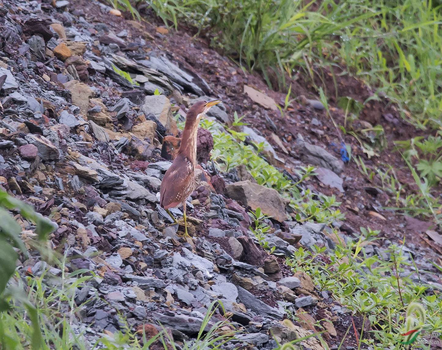 DSC_0886.jpg
