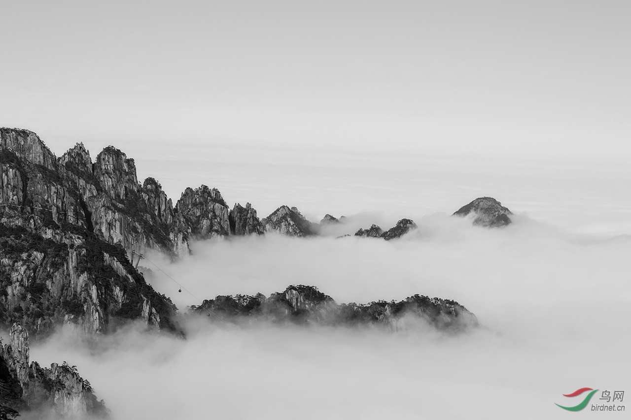 6Y1A0583-2.jpg