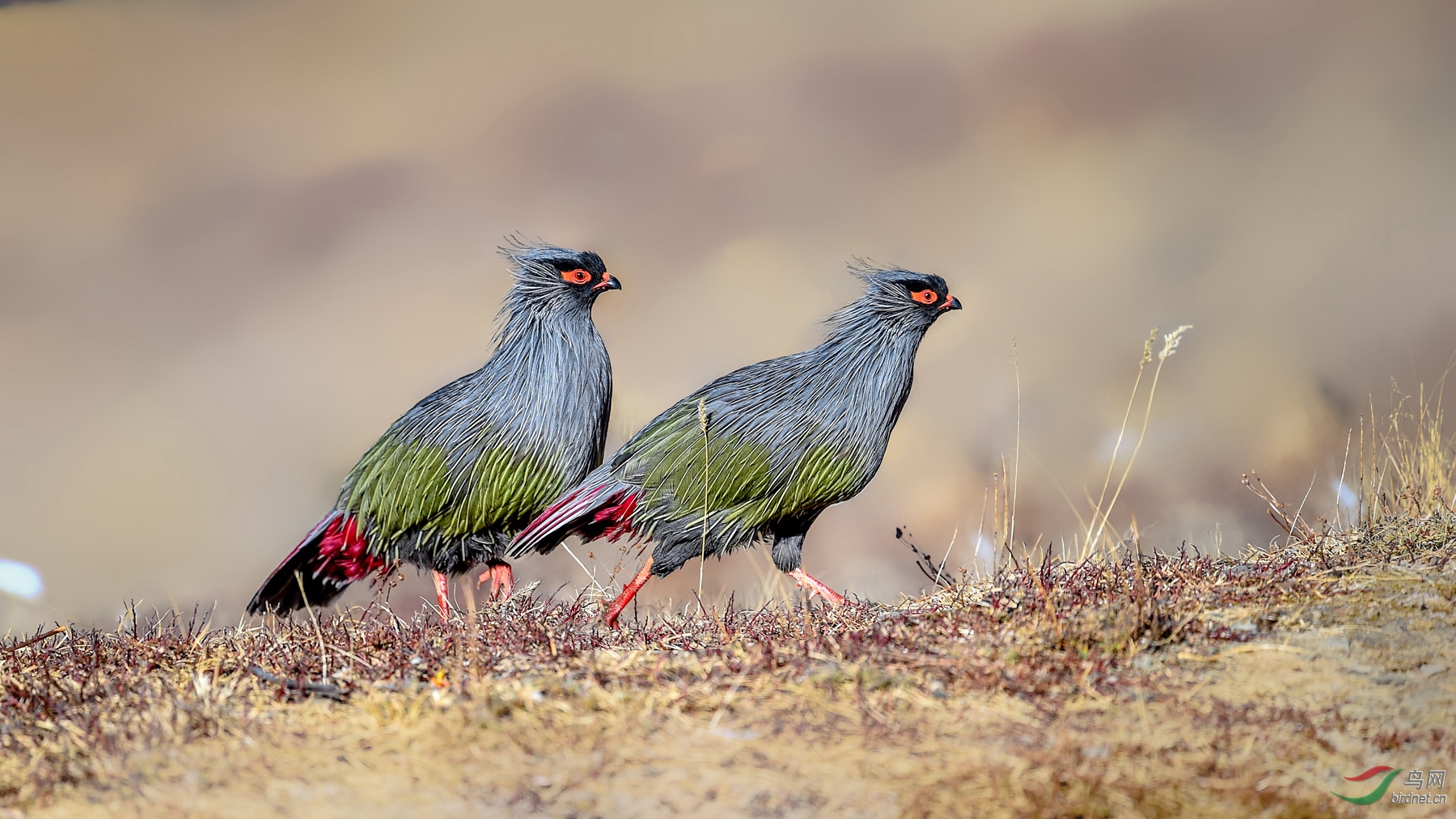 DSC_3269 (2)_����_����.jpg