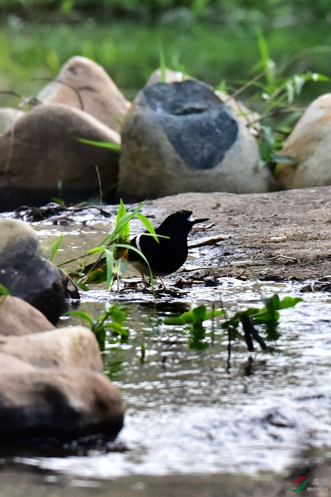 DSC_0786.JPG